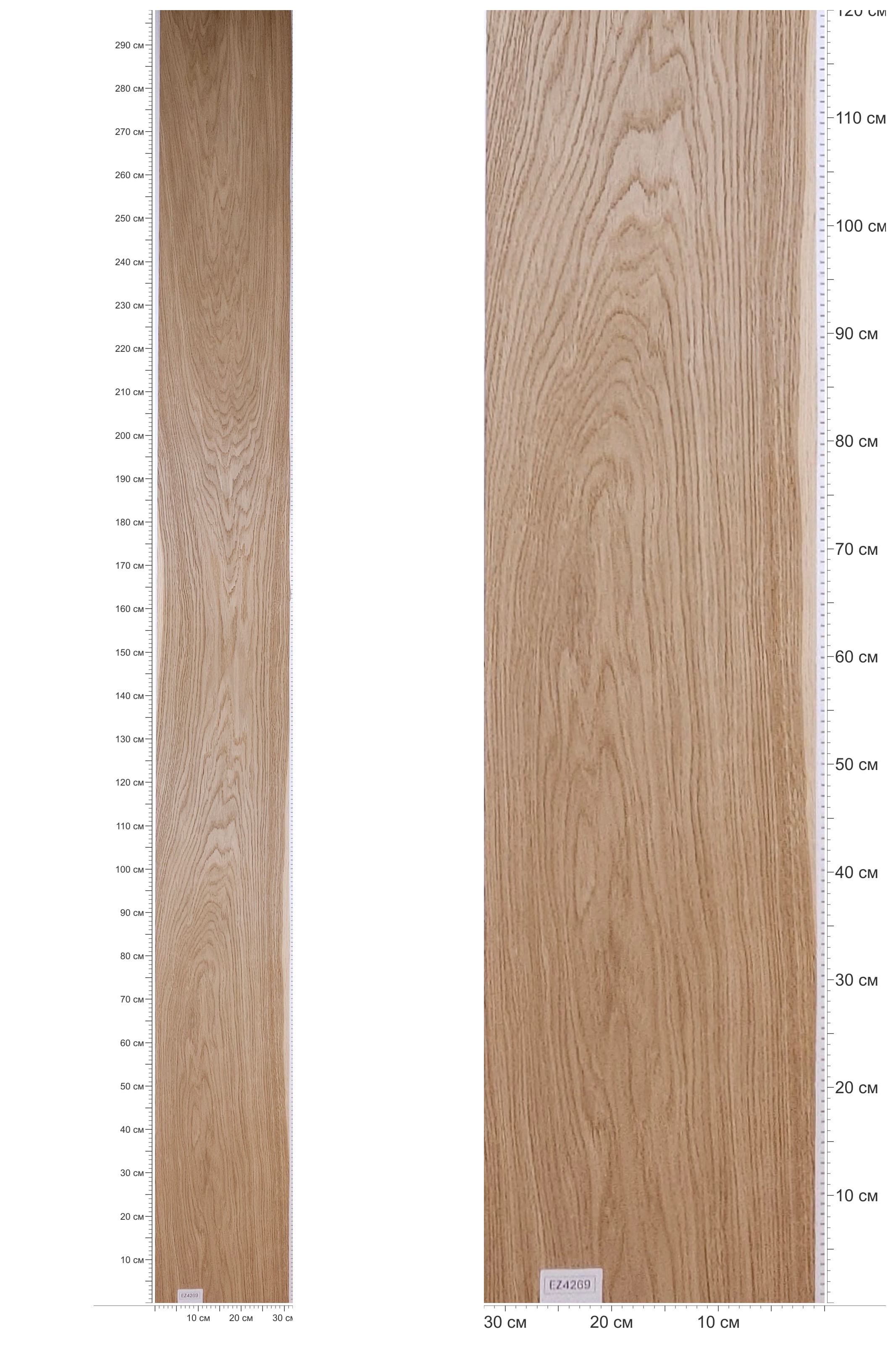 EZ4269 — catalog
