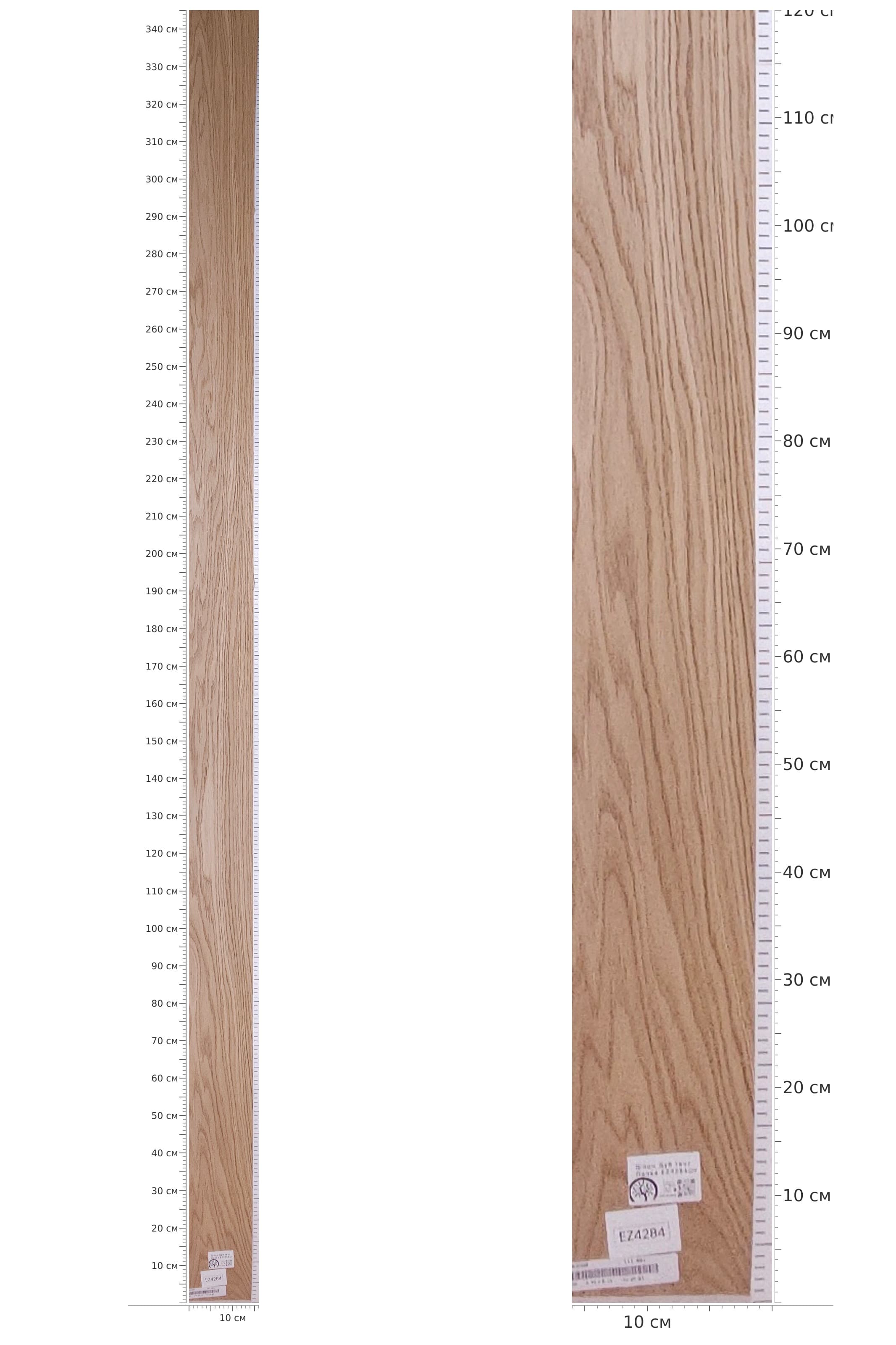 EZ4284 — catalog
