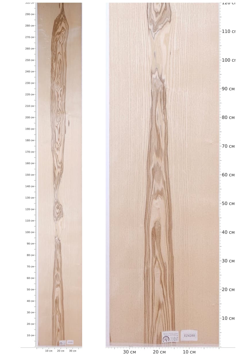 EZ4289 — catalog