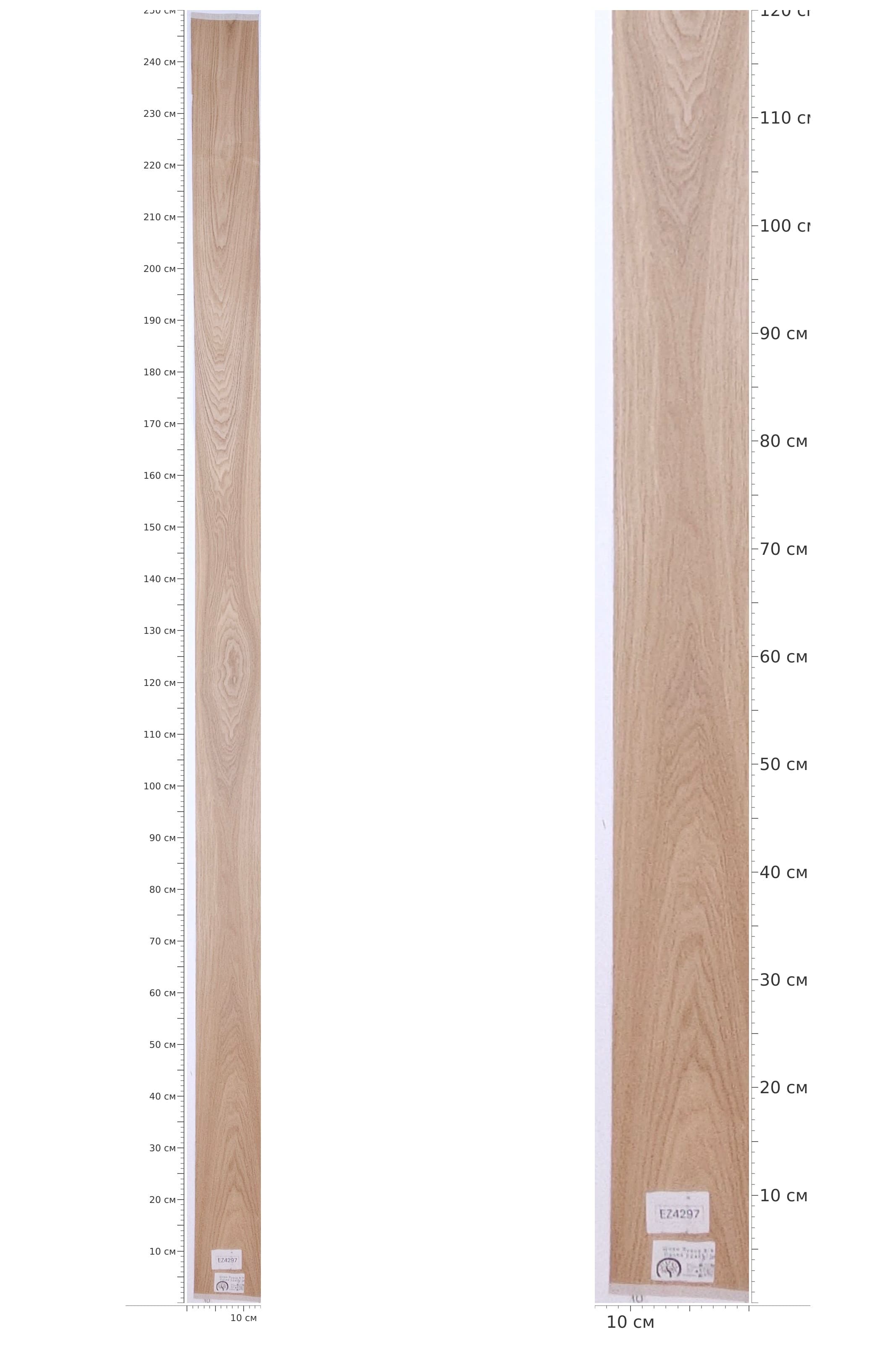 EZ4297 — catalog