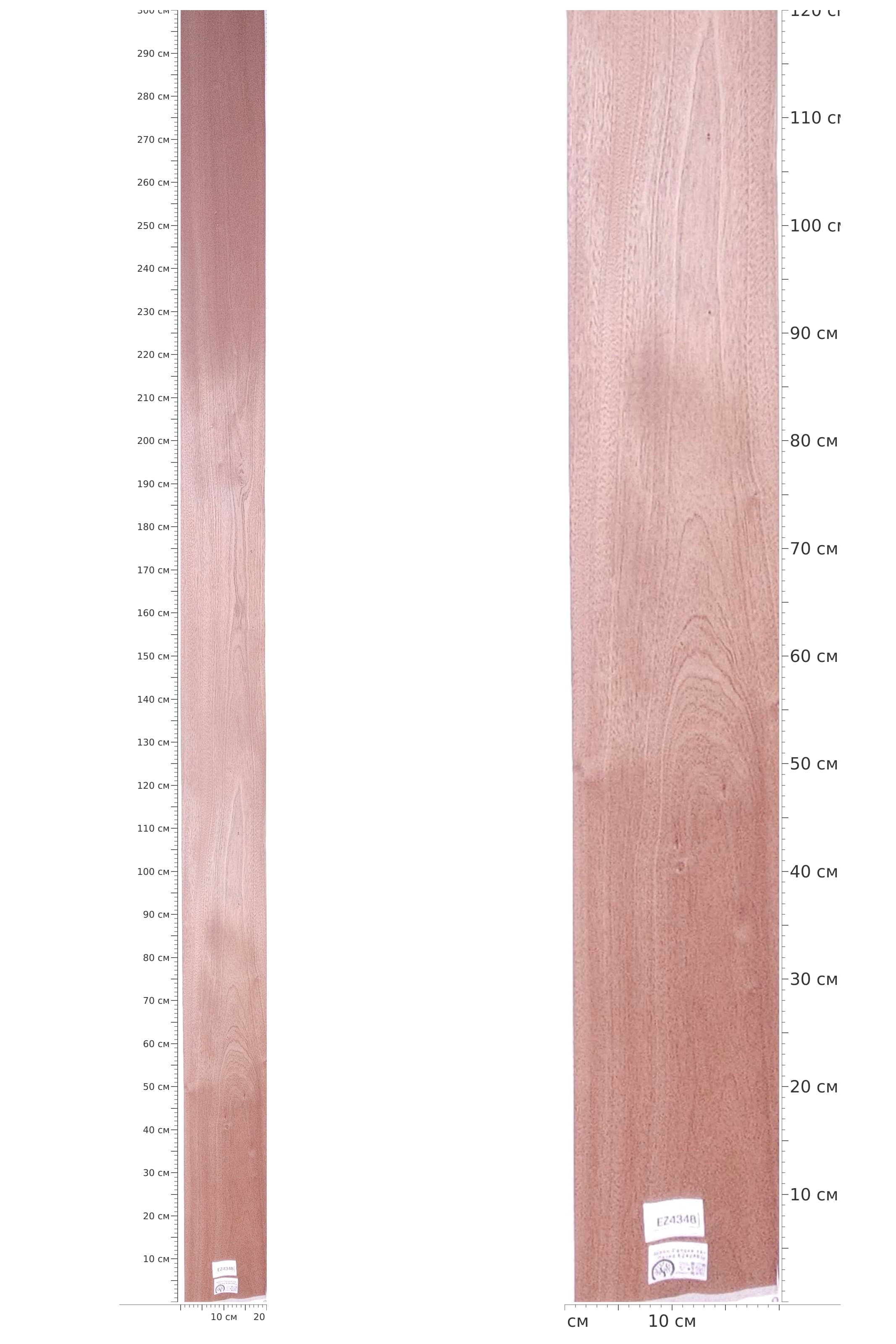 EZ4348 — catalog