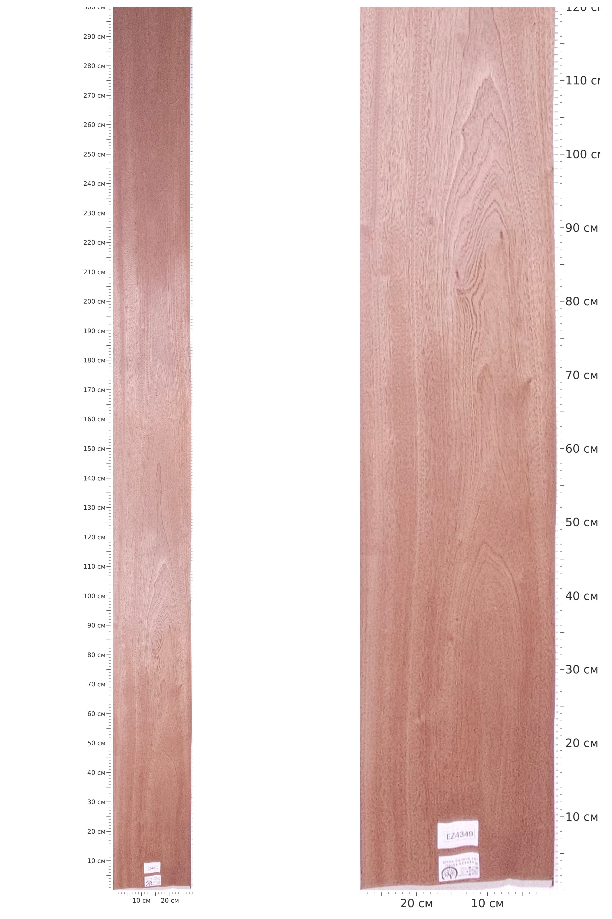 EZ4349 — catalog