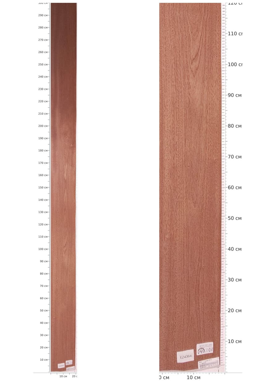 EZ4364 — catalog