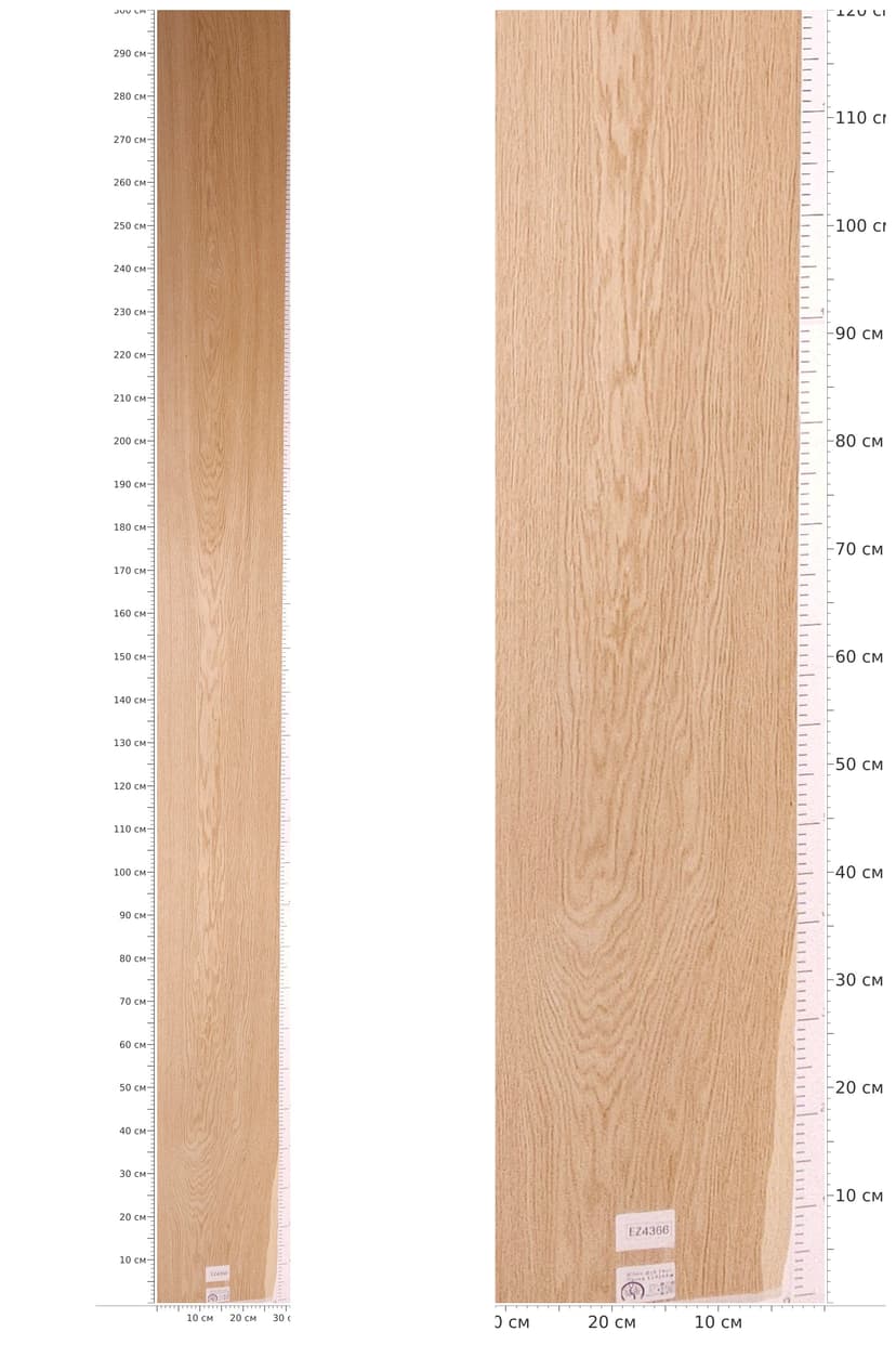 EZ4366 — catalog