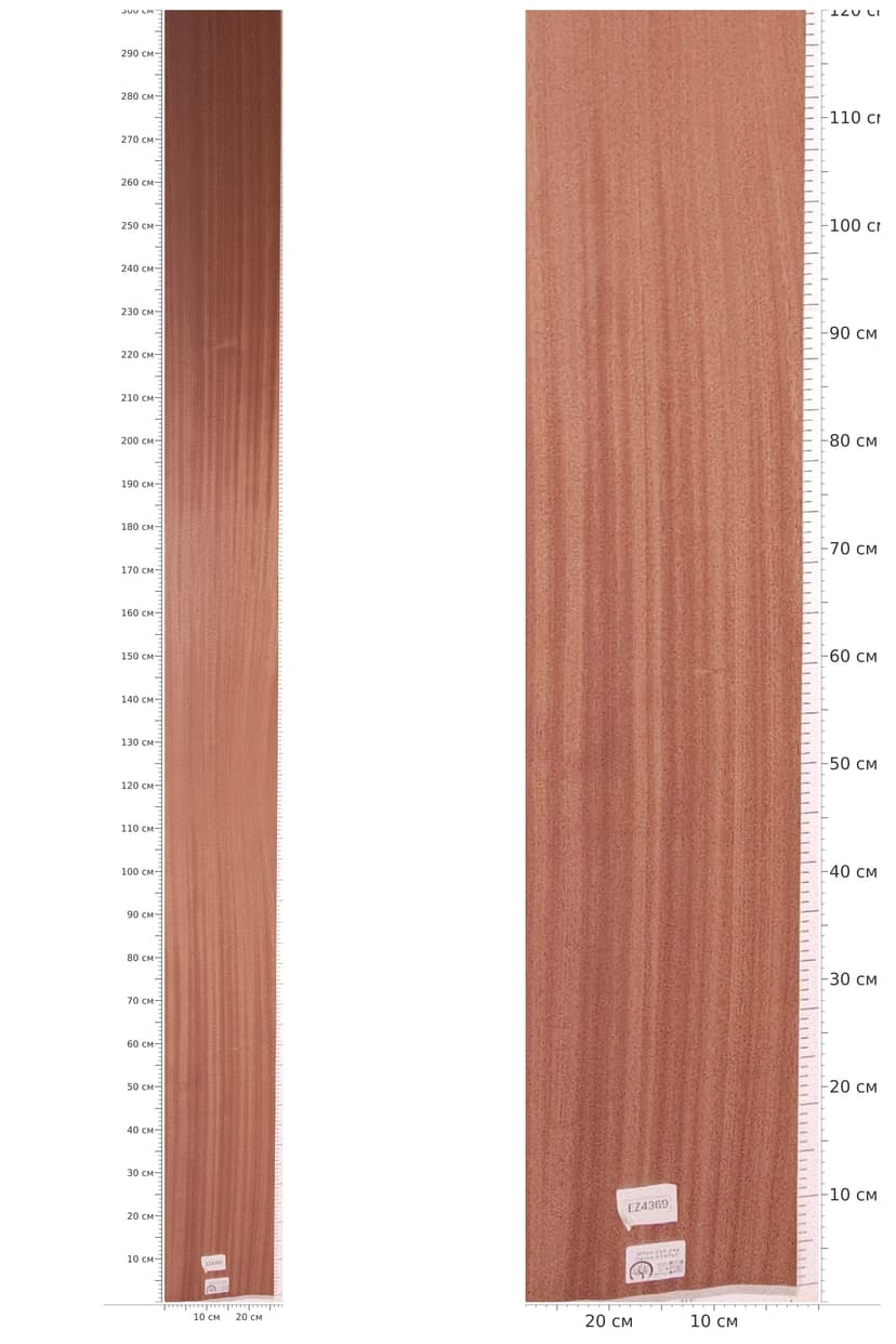EZ4369 — catalog