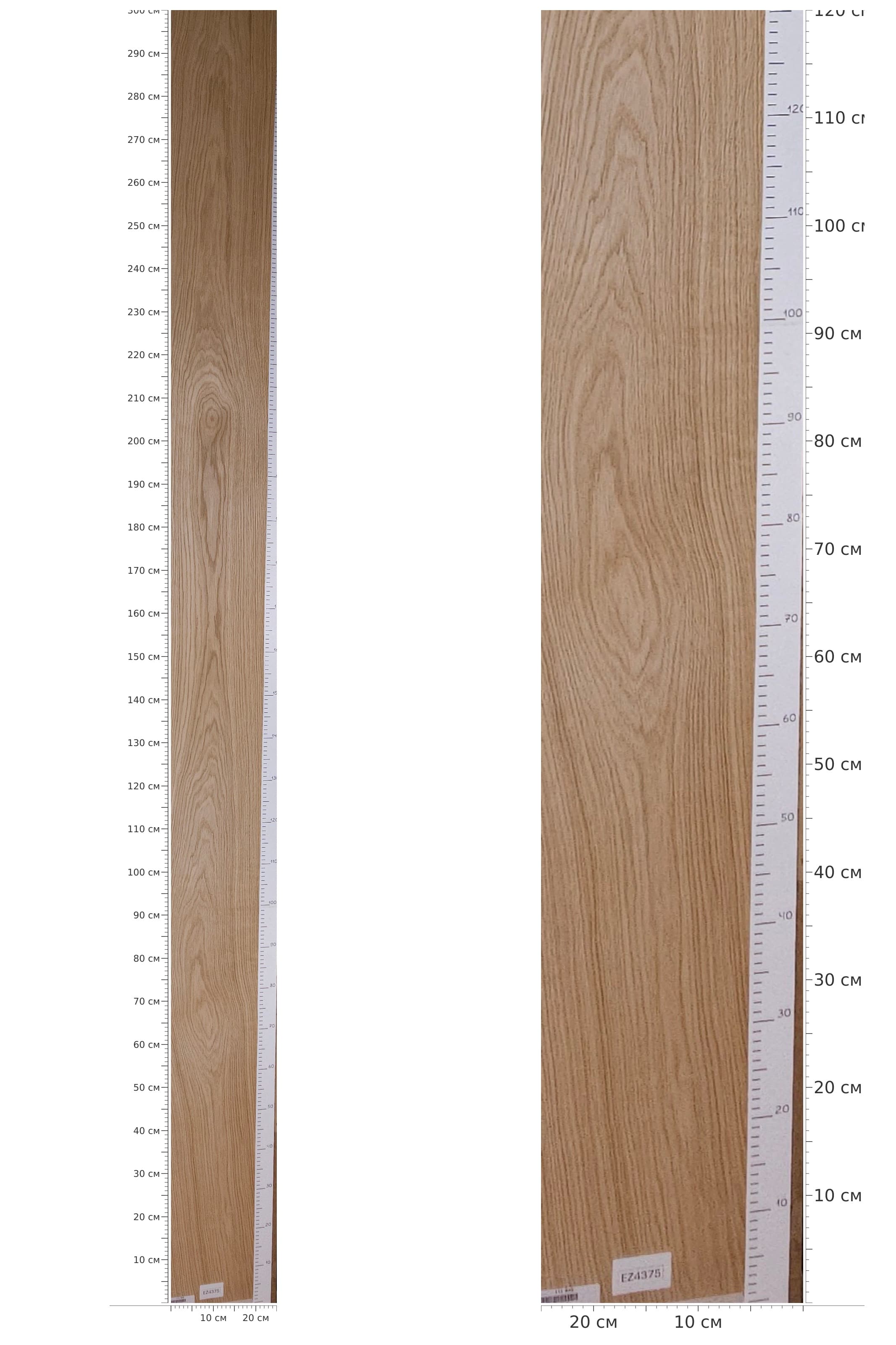 EZ4375 — catalog