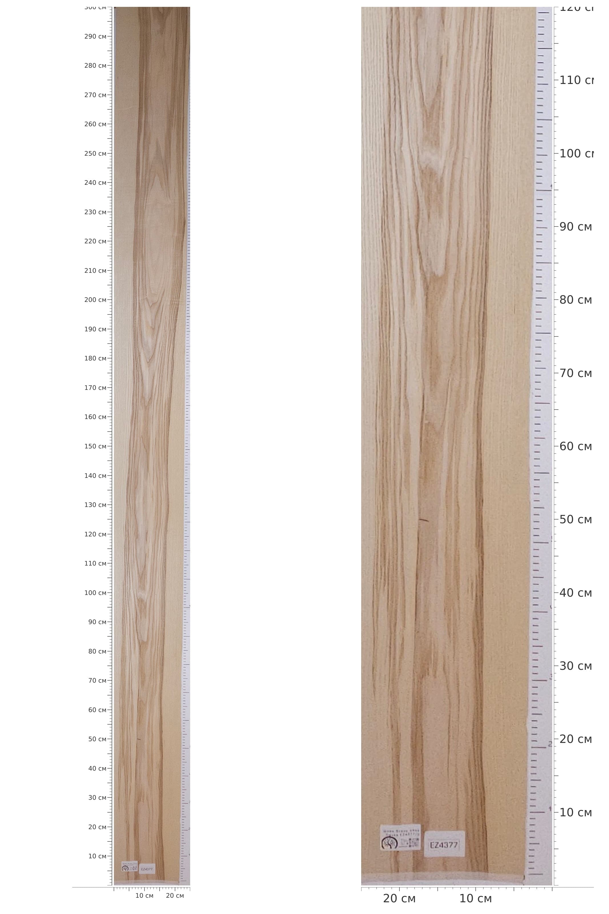 EZ4377 — catalog