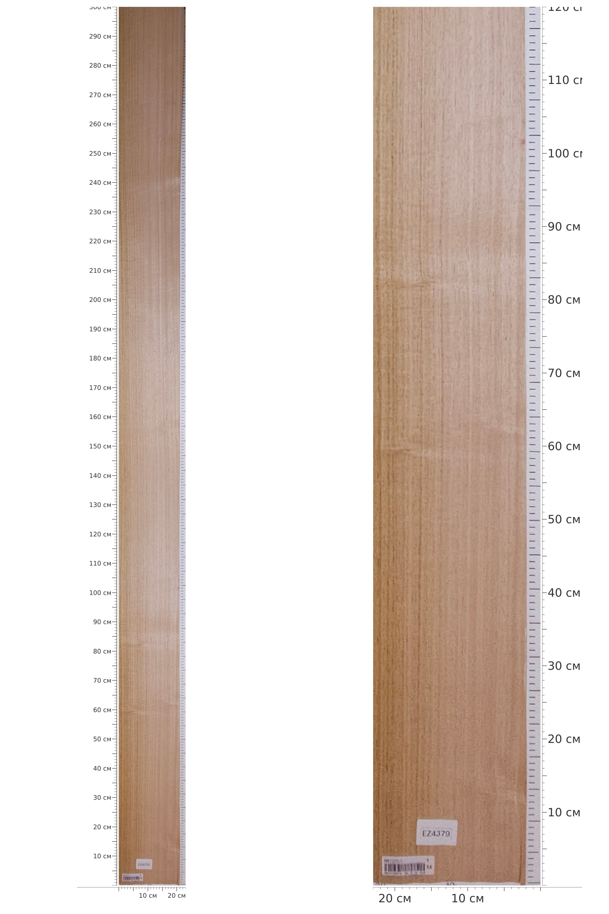 EZ4379 — catalog