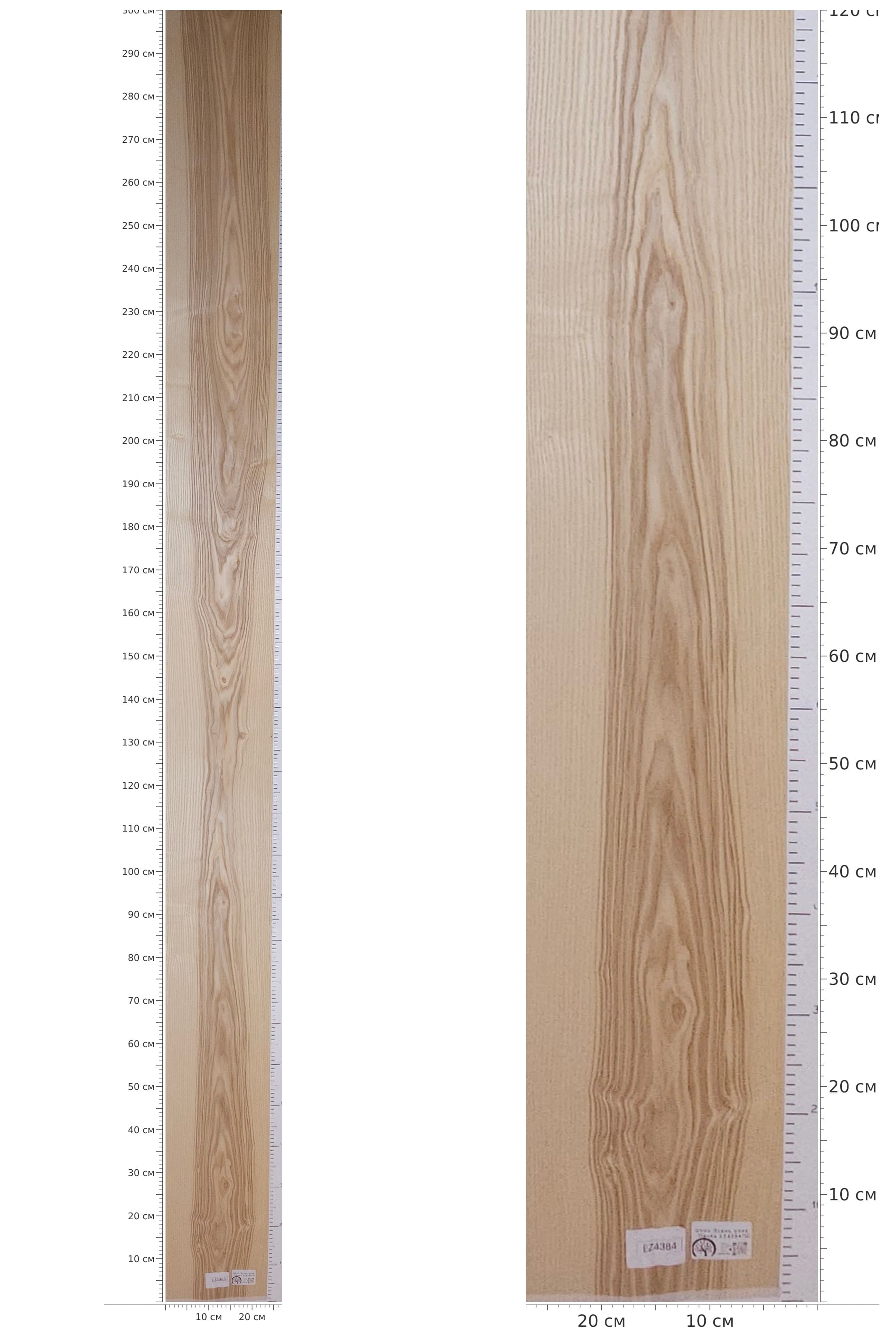 EZ4384 — catalog