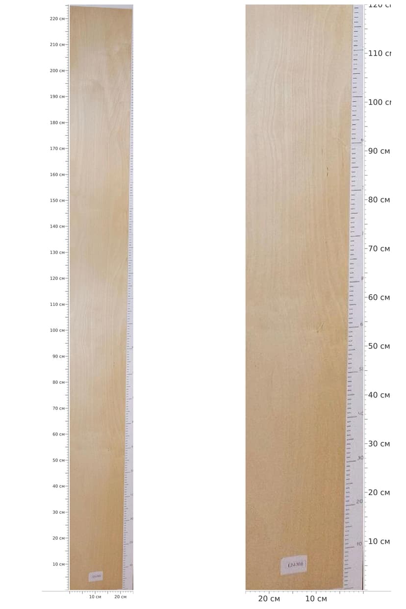 EZ4386 — catalog