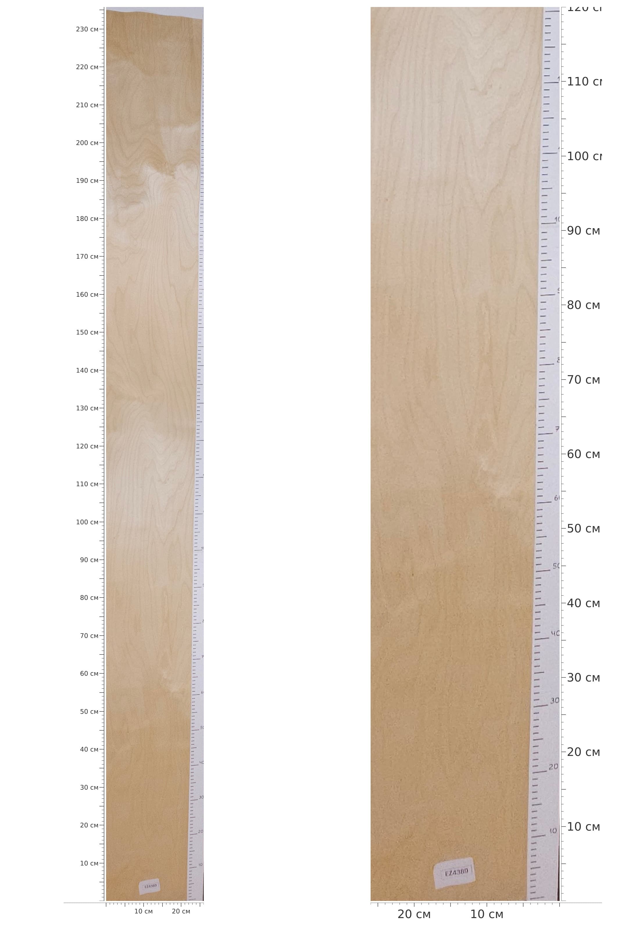 EZ4389 — catalog