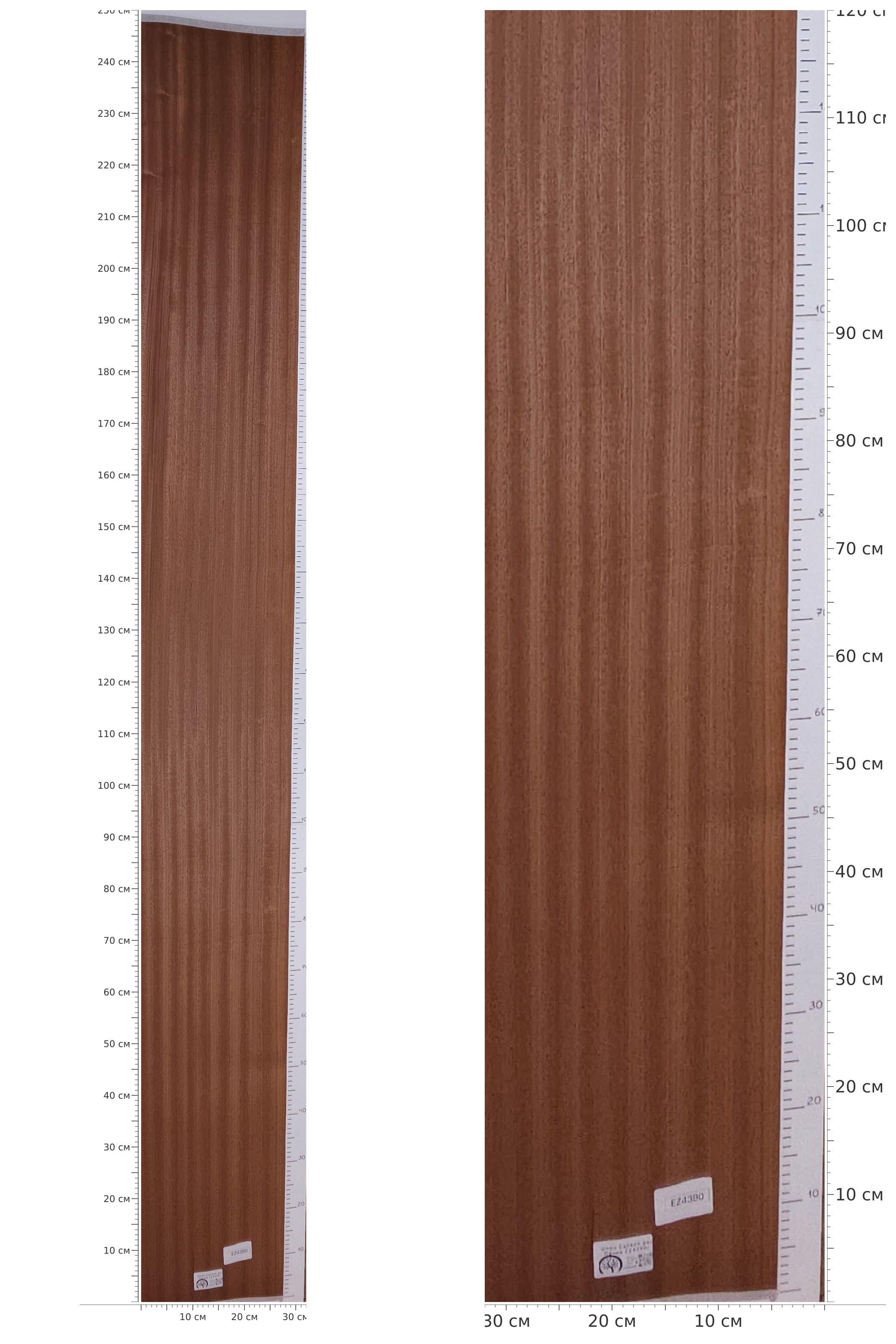 EZ4390 — catalog