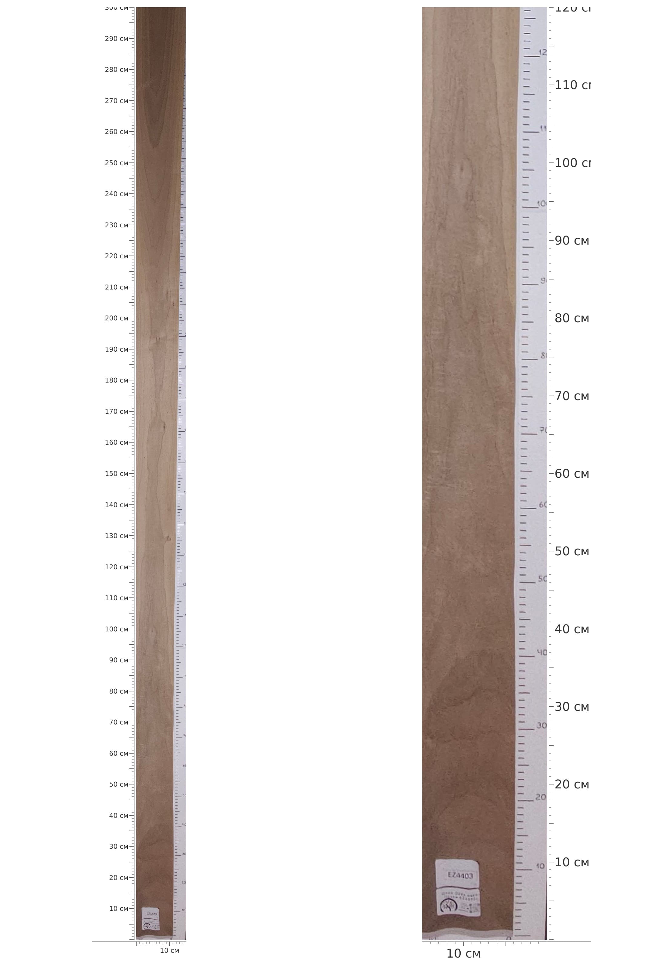 EZ4403 — catalog