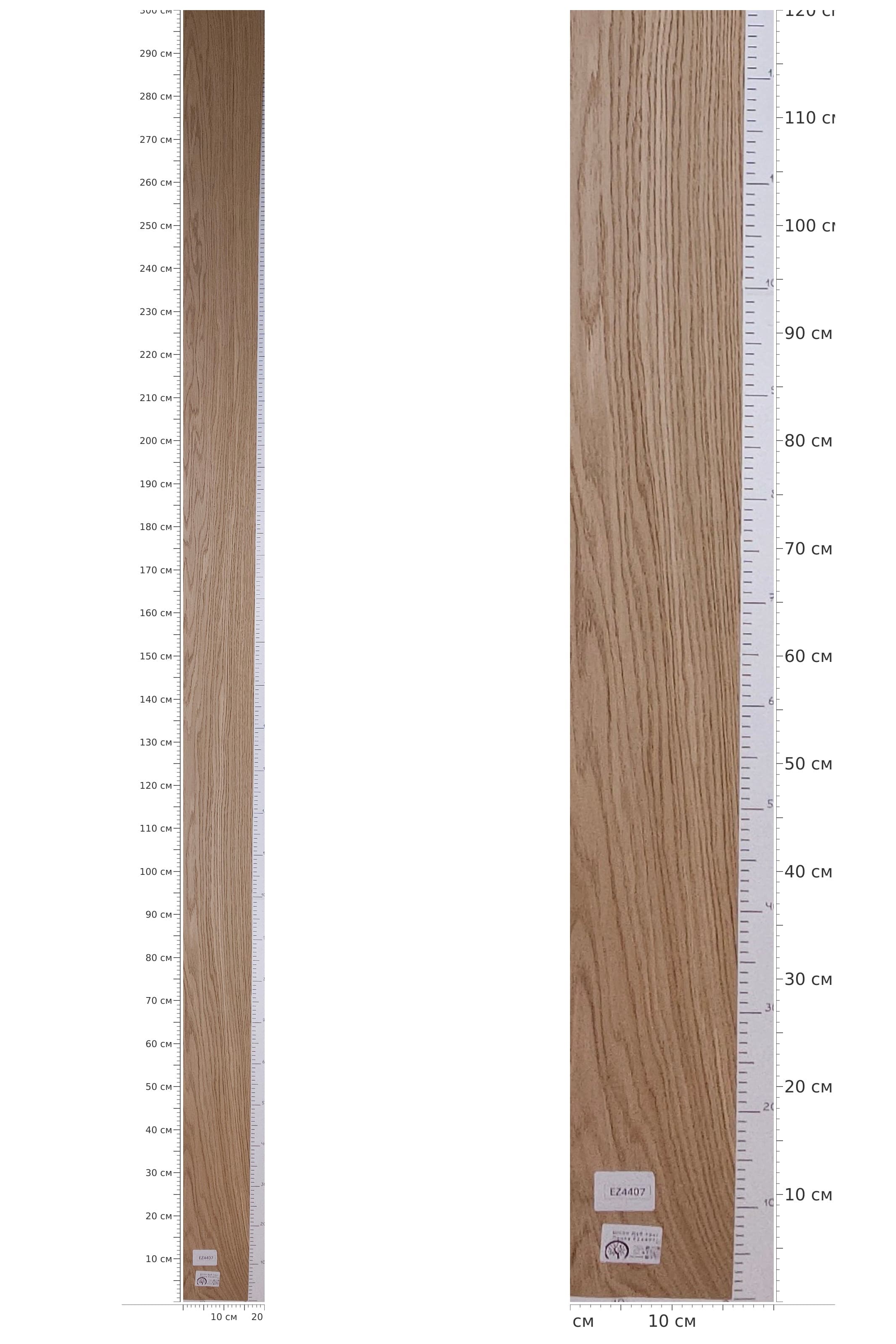 EZ4407 — catalog