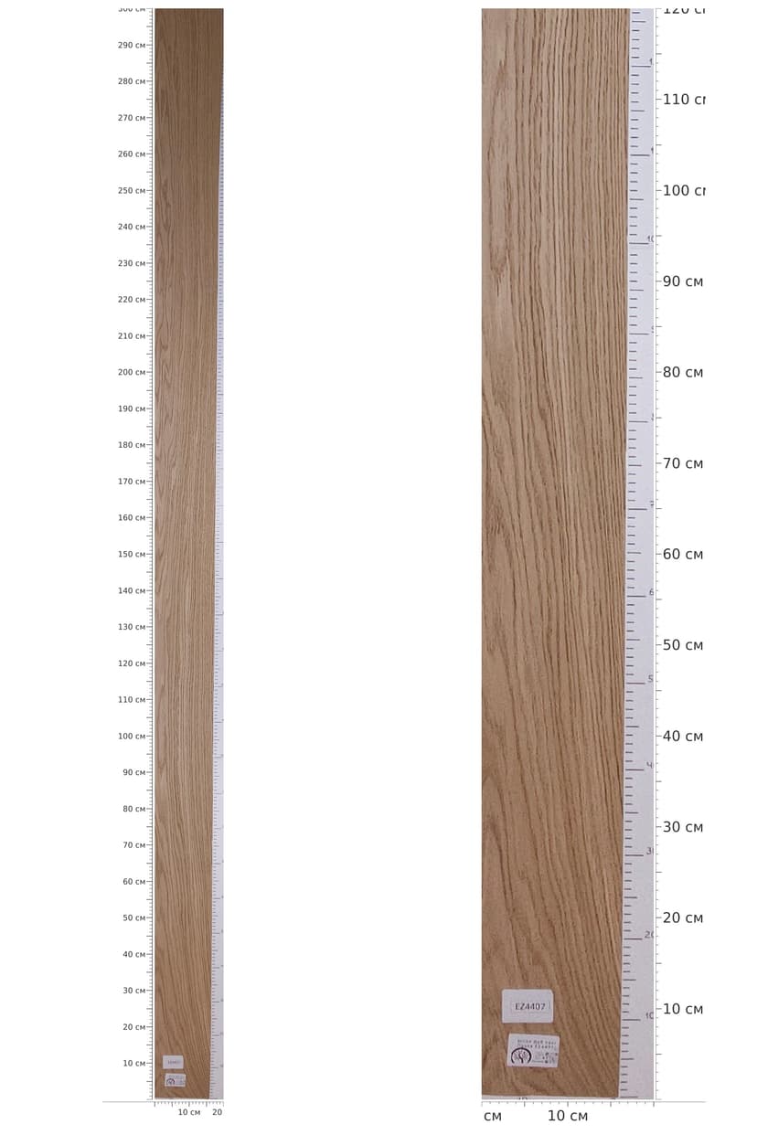 EZ4407 — catalog