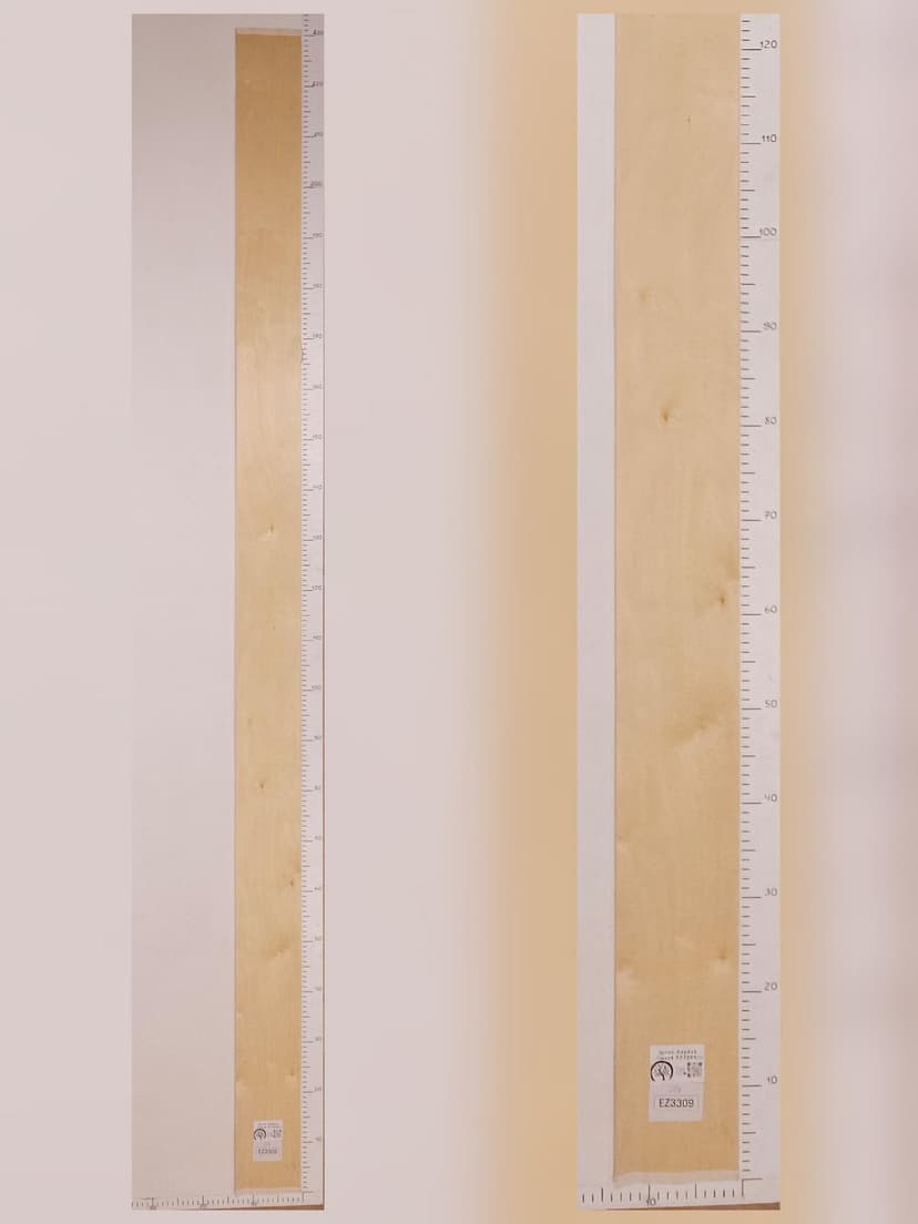 Шпон берёзы 2,3х0.13 EZ3309