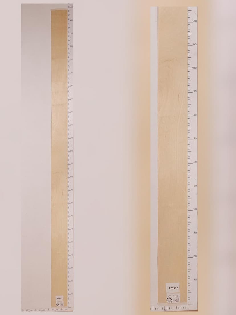 Шпон берёза 2.25х0.13 EZ3937