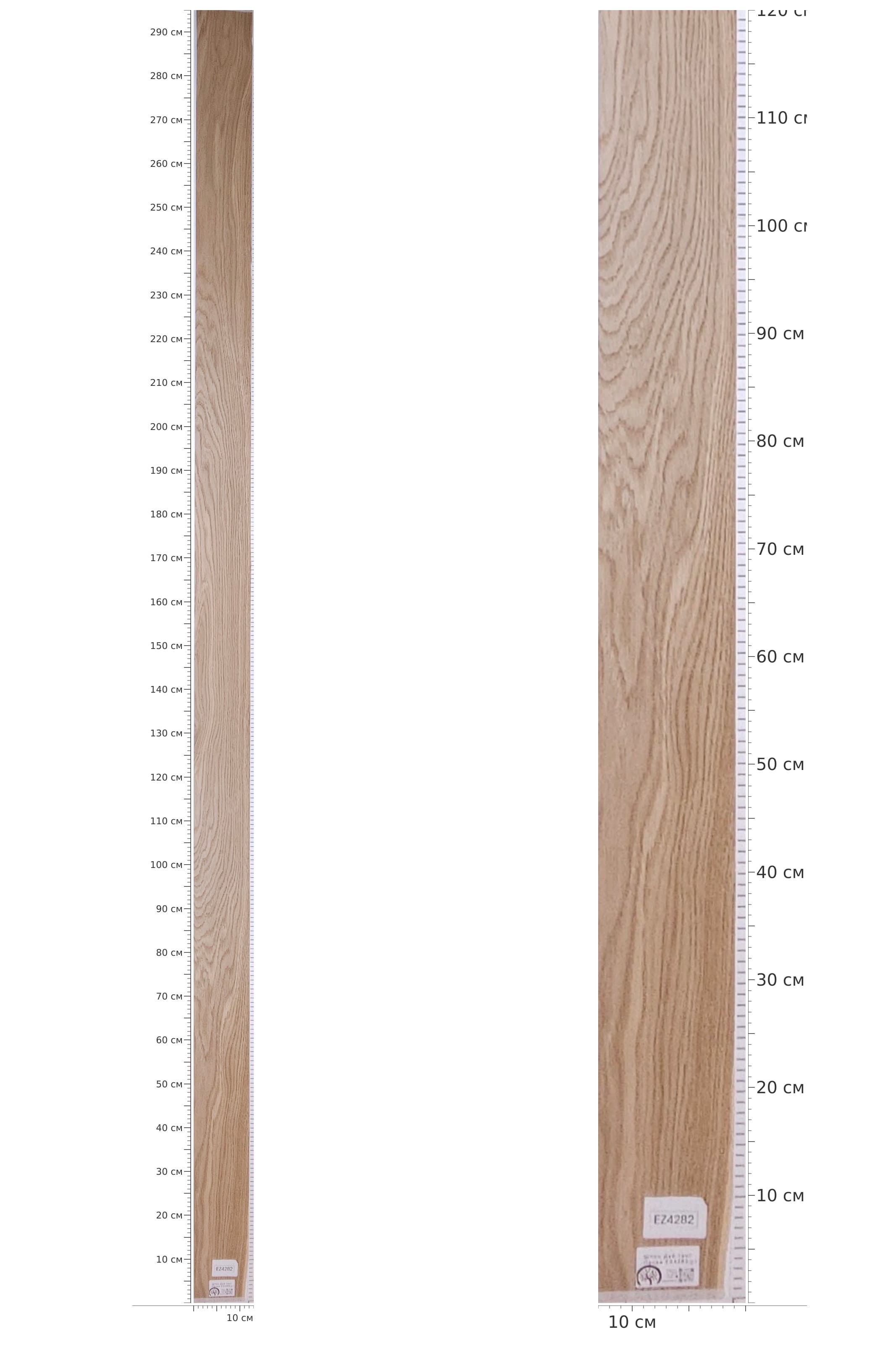 EZ4282 — catalog
