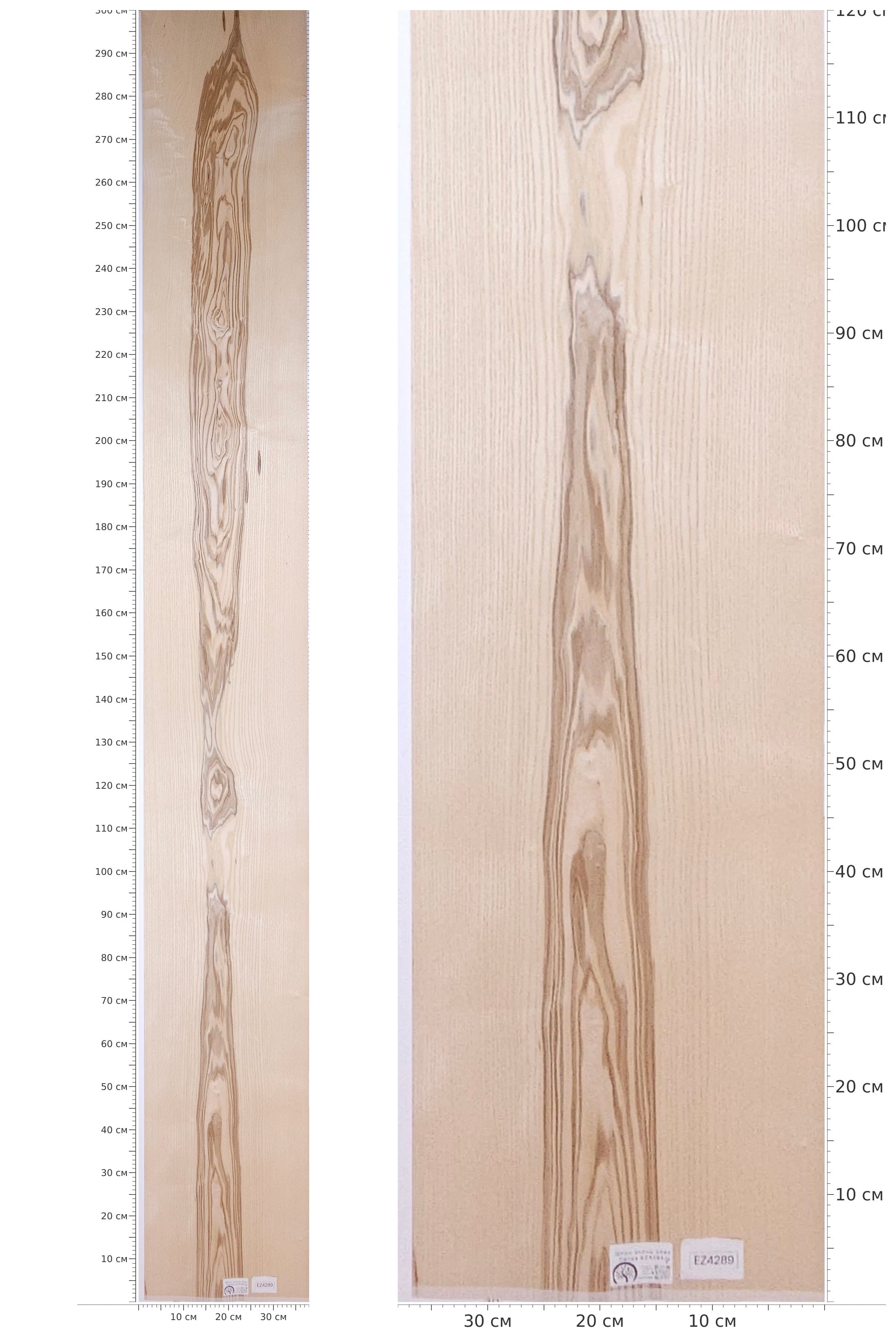 EZ4289 — catalog