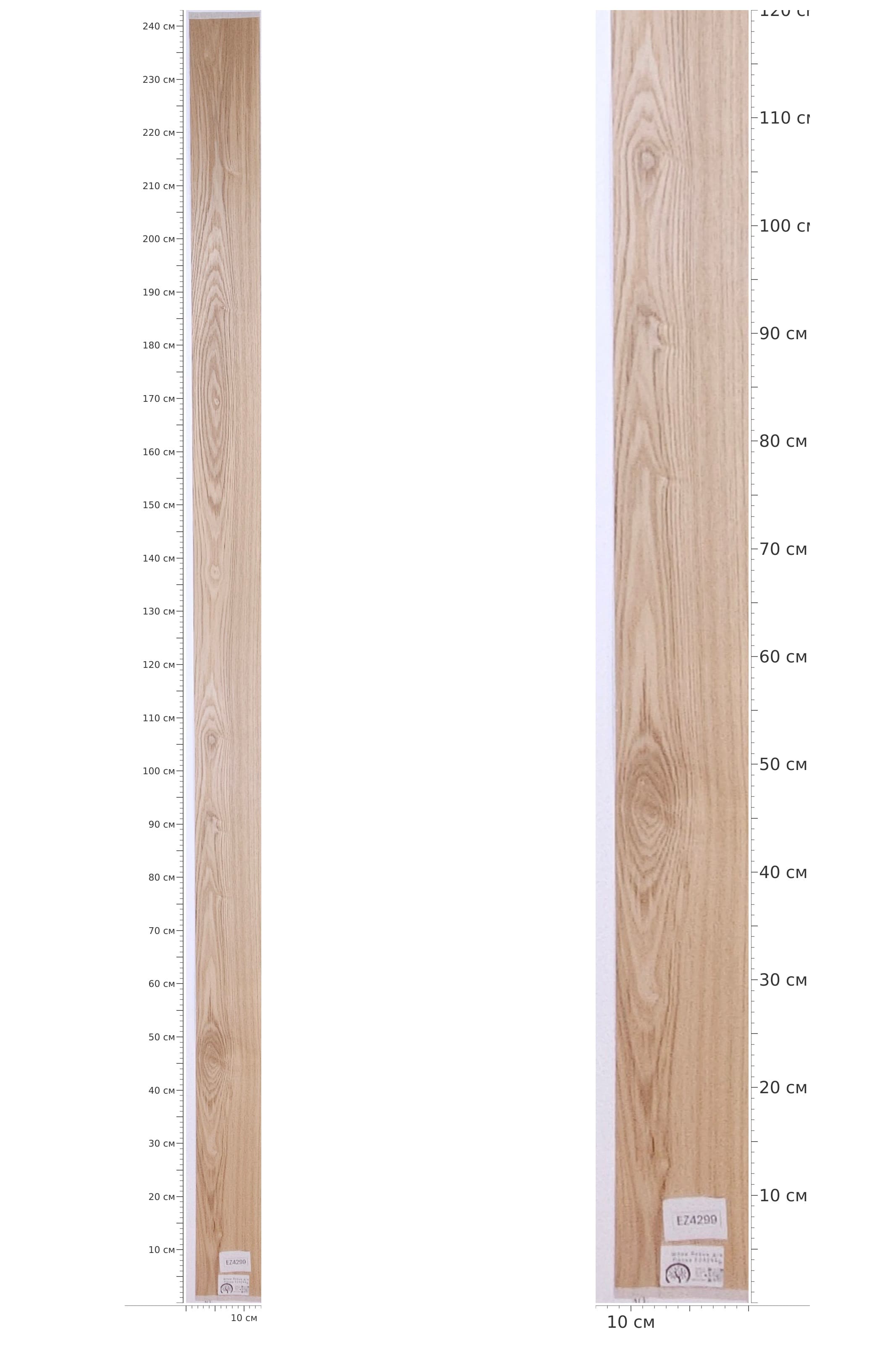 EZ4299 — catalog