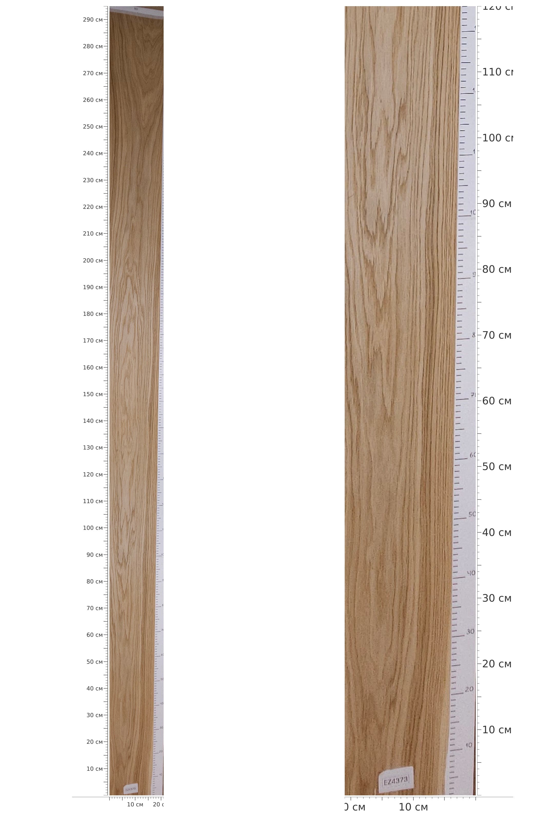 EZ4373 — catalog
