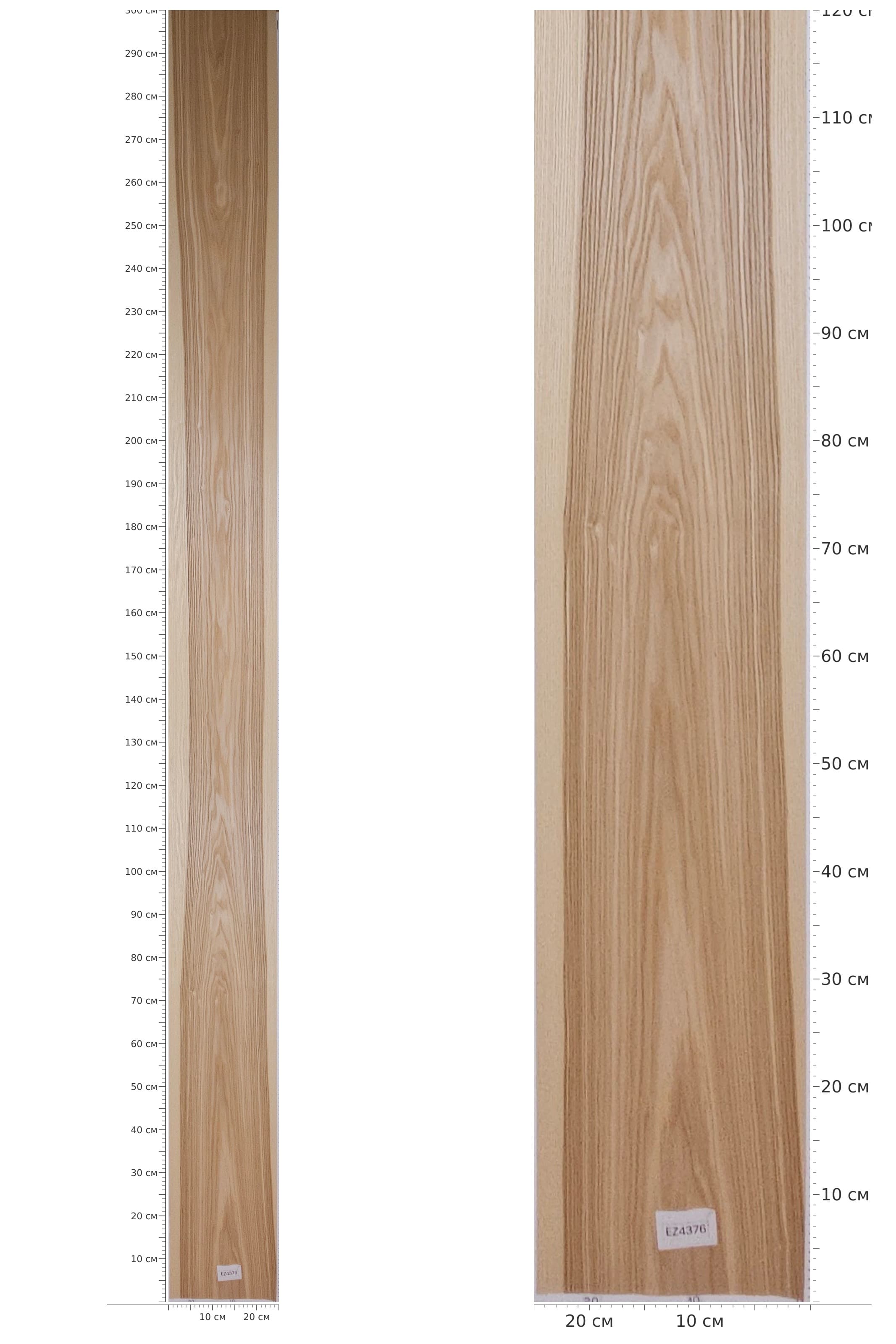 EZ4376 — catalog