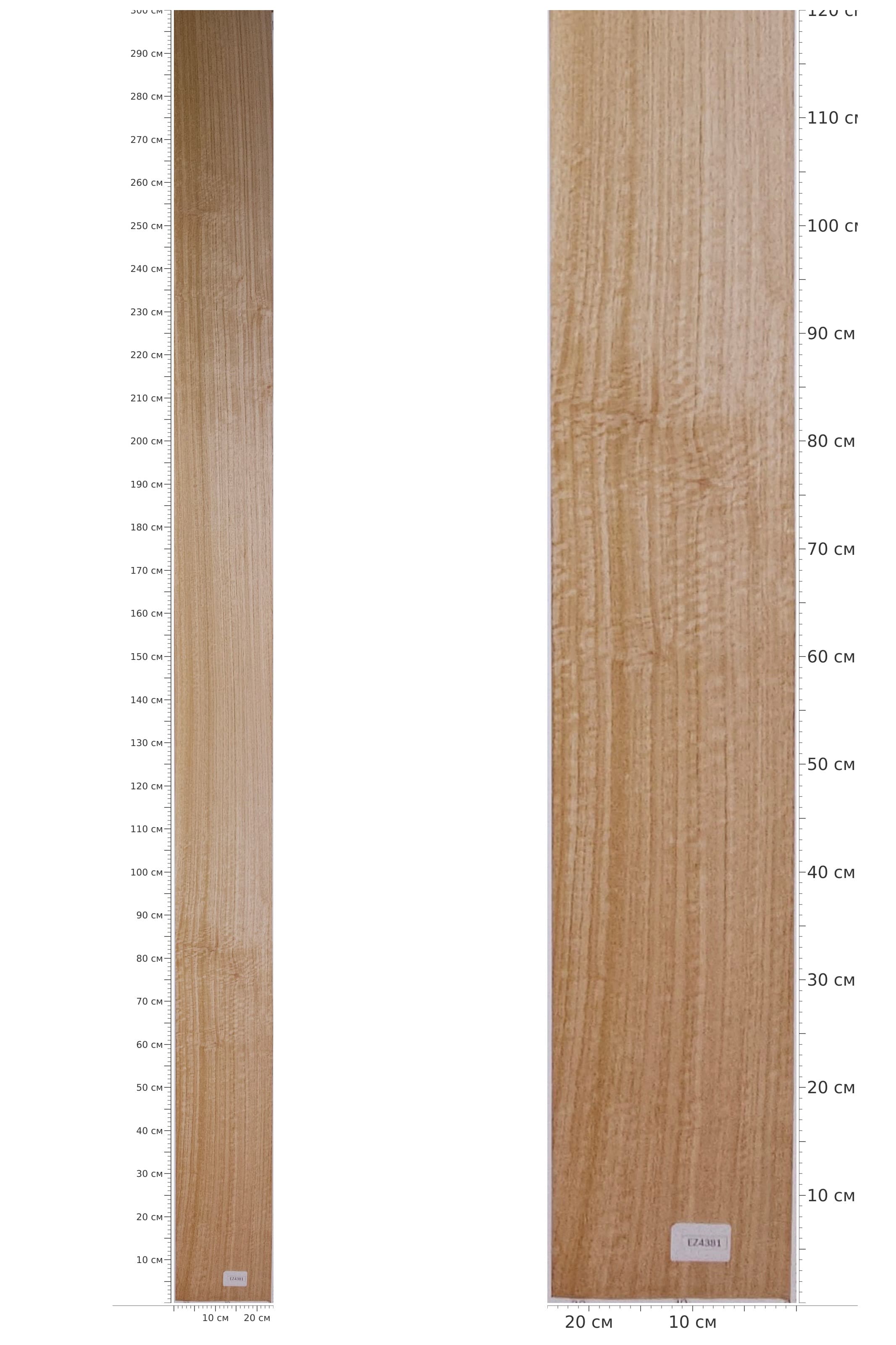 EZ4381 — catalog
