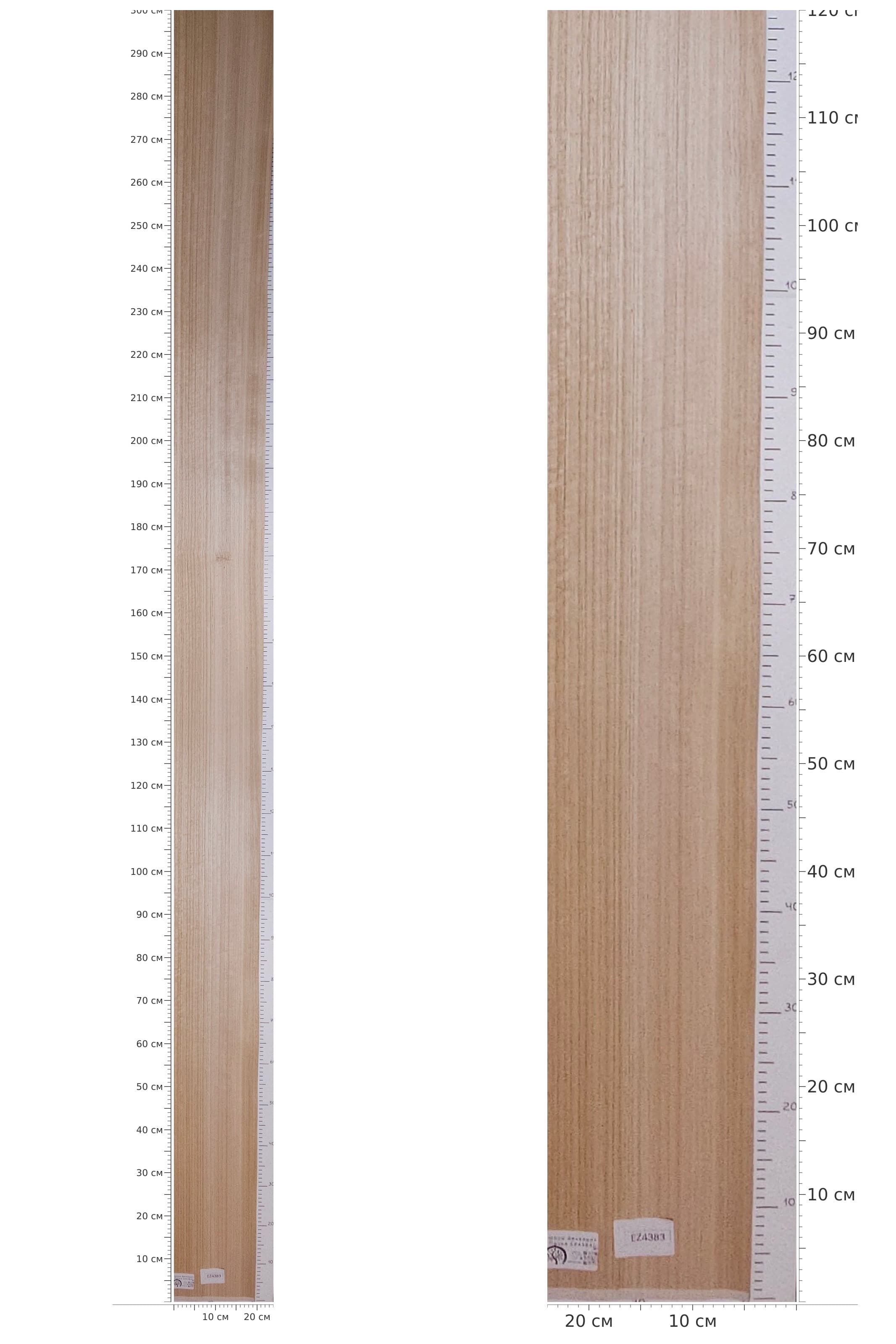 EZ4383 — catalog