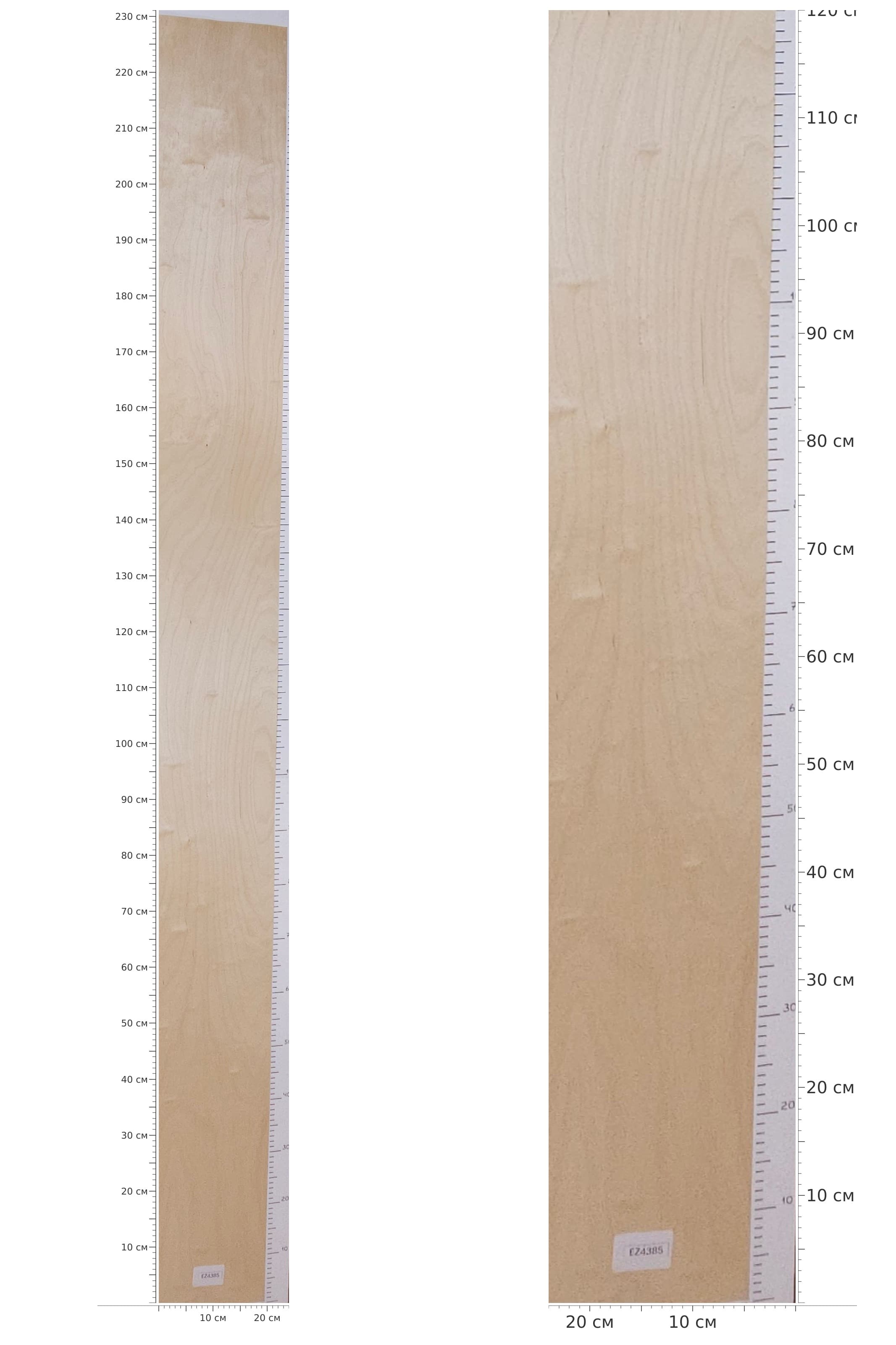 EZ4385 — catalog