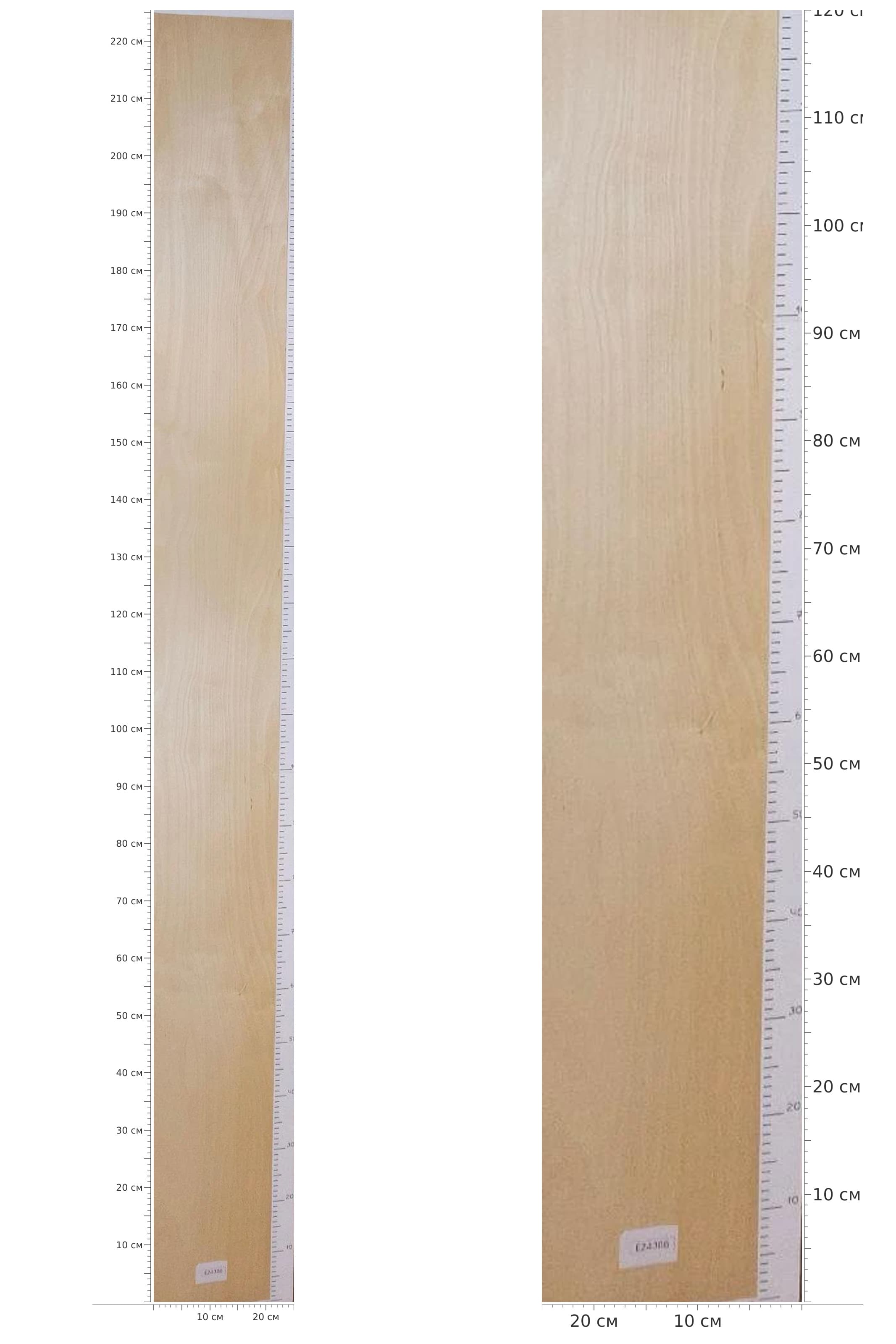 EZ4386 — catalog