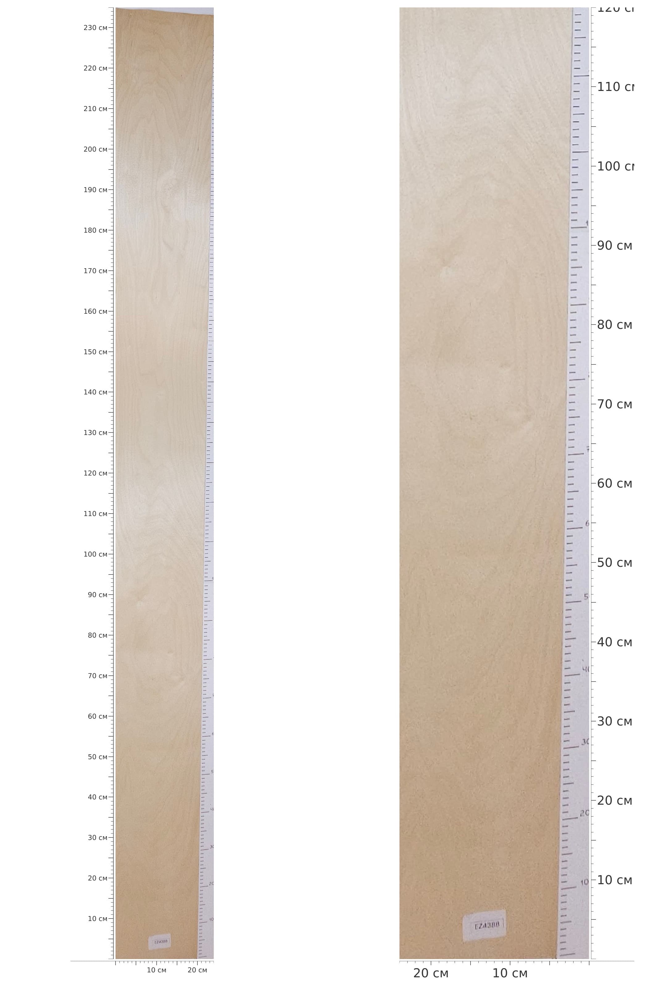 EZ4388 — catalog