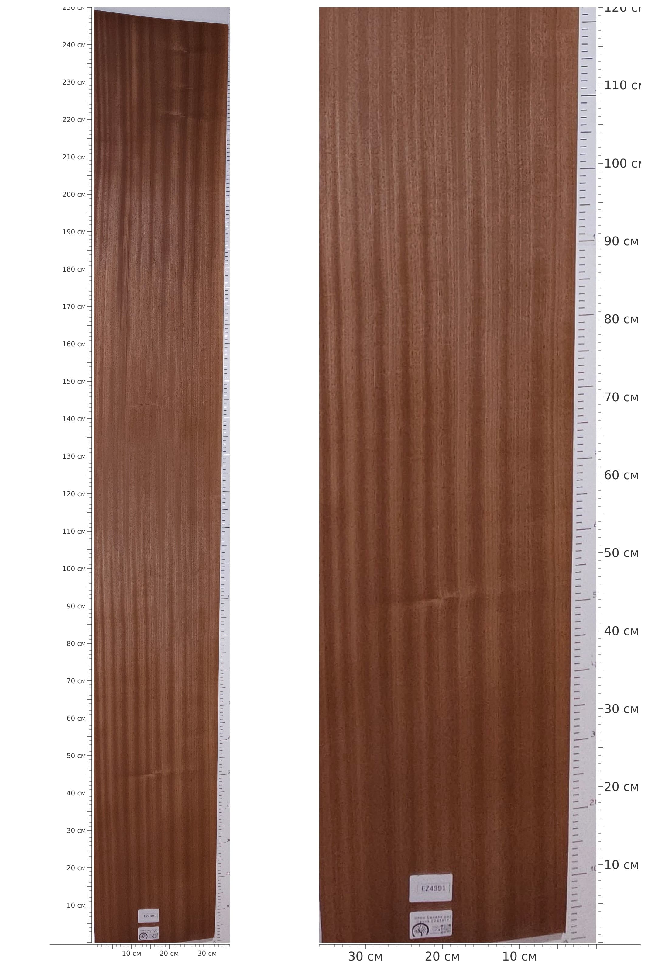EZ4391 — catalog