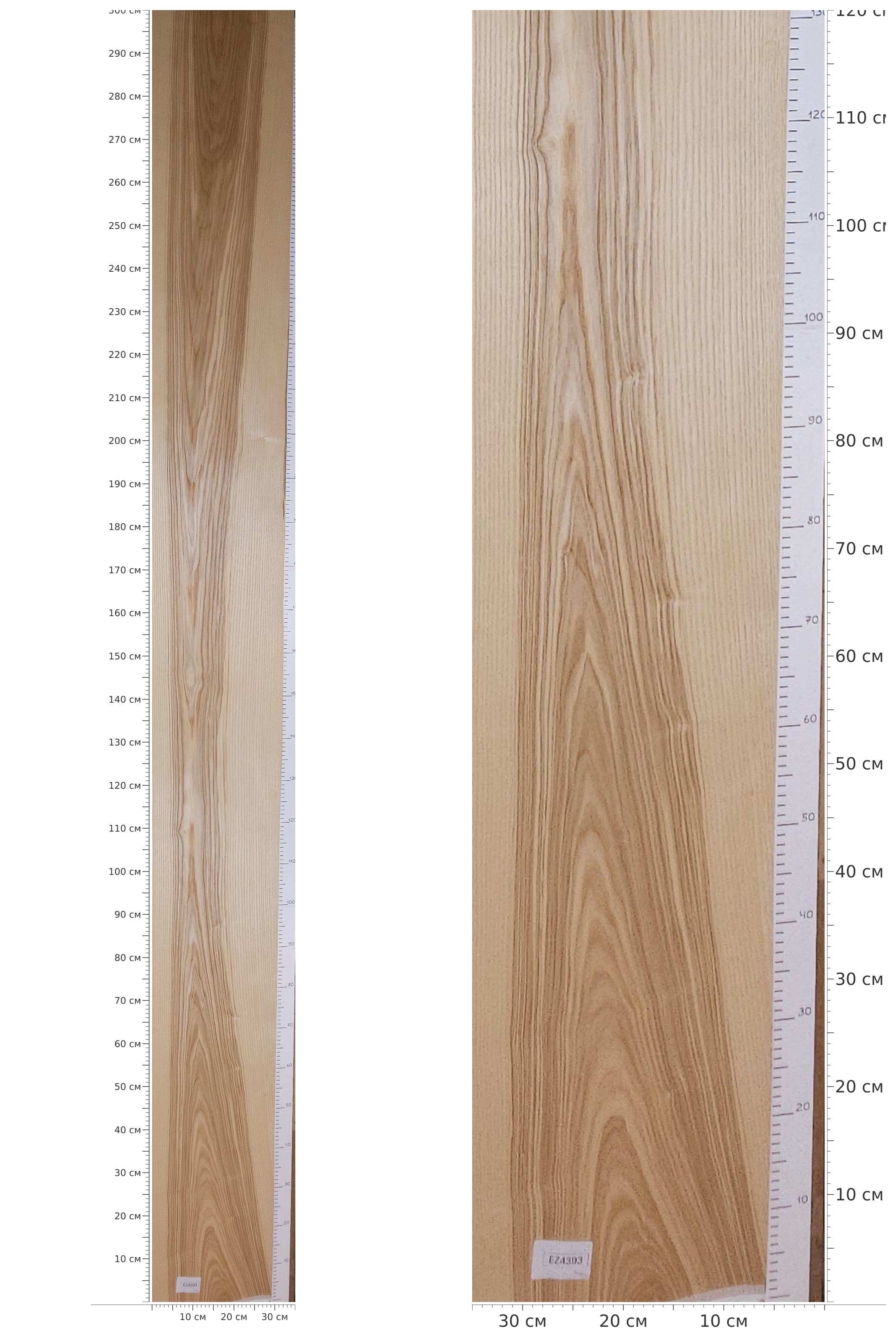 EZ4393 — catalog