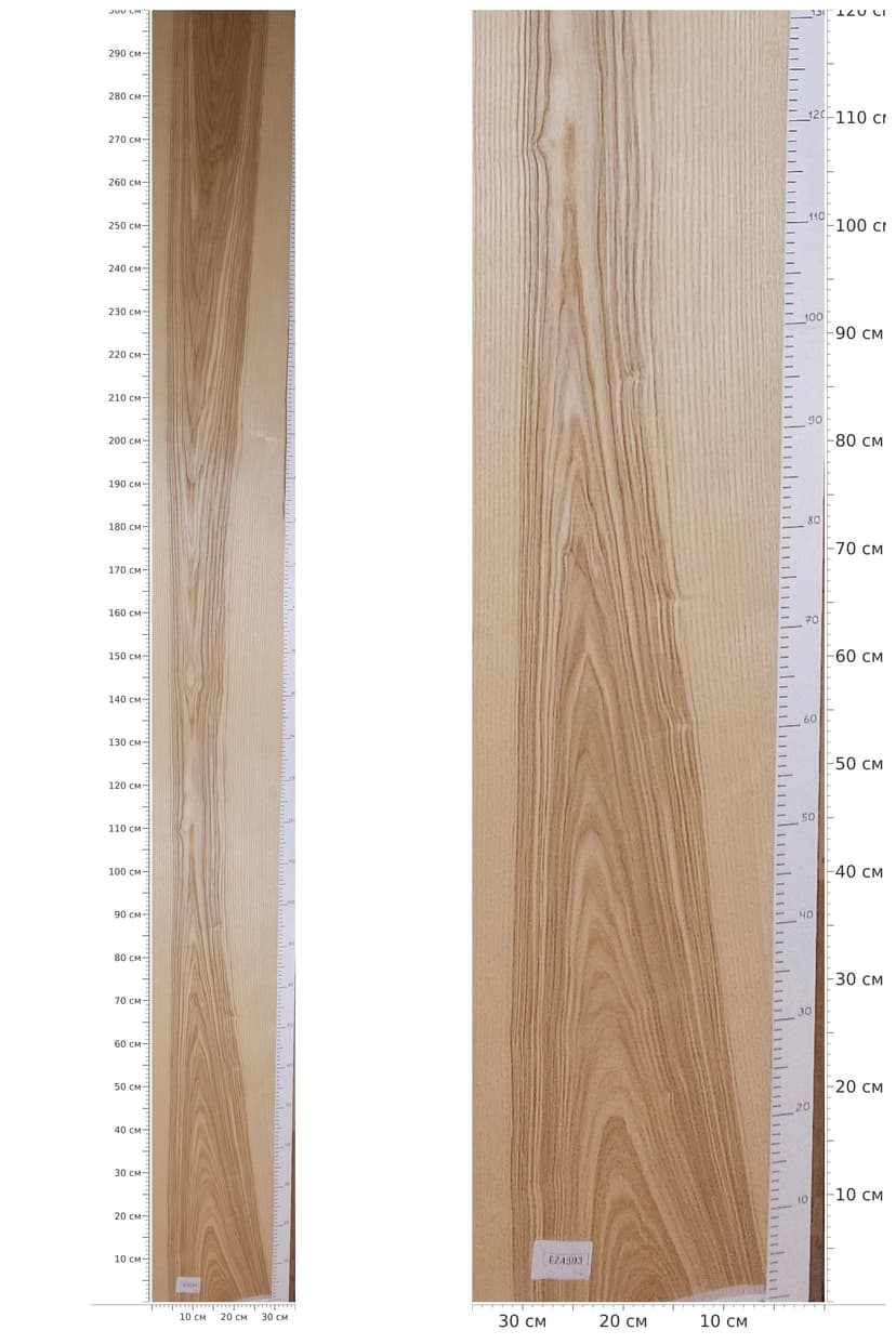 EZ4393 — catalog